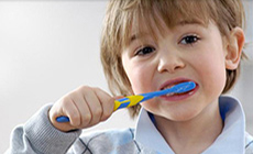 Профилактика